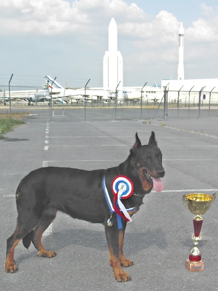 Publication : des onze hermines Auteur : F. Mercier