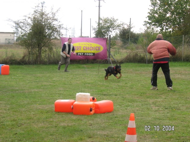 Publication : des onze hermines Auteur : F. Mercier