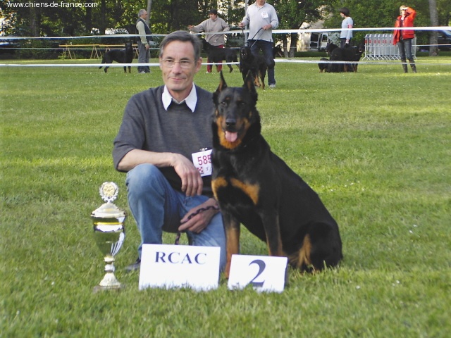 CH. Ulster des onze hermines - RCACS, VICE-CHAMPIONNE DE FRANCE 2005