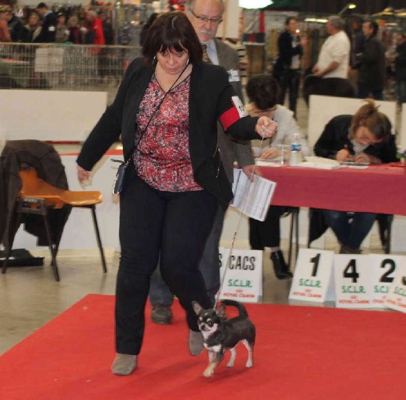 Jazz blue dream De val majour - 1er EXC