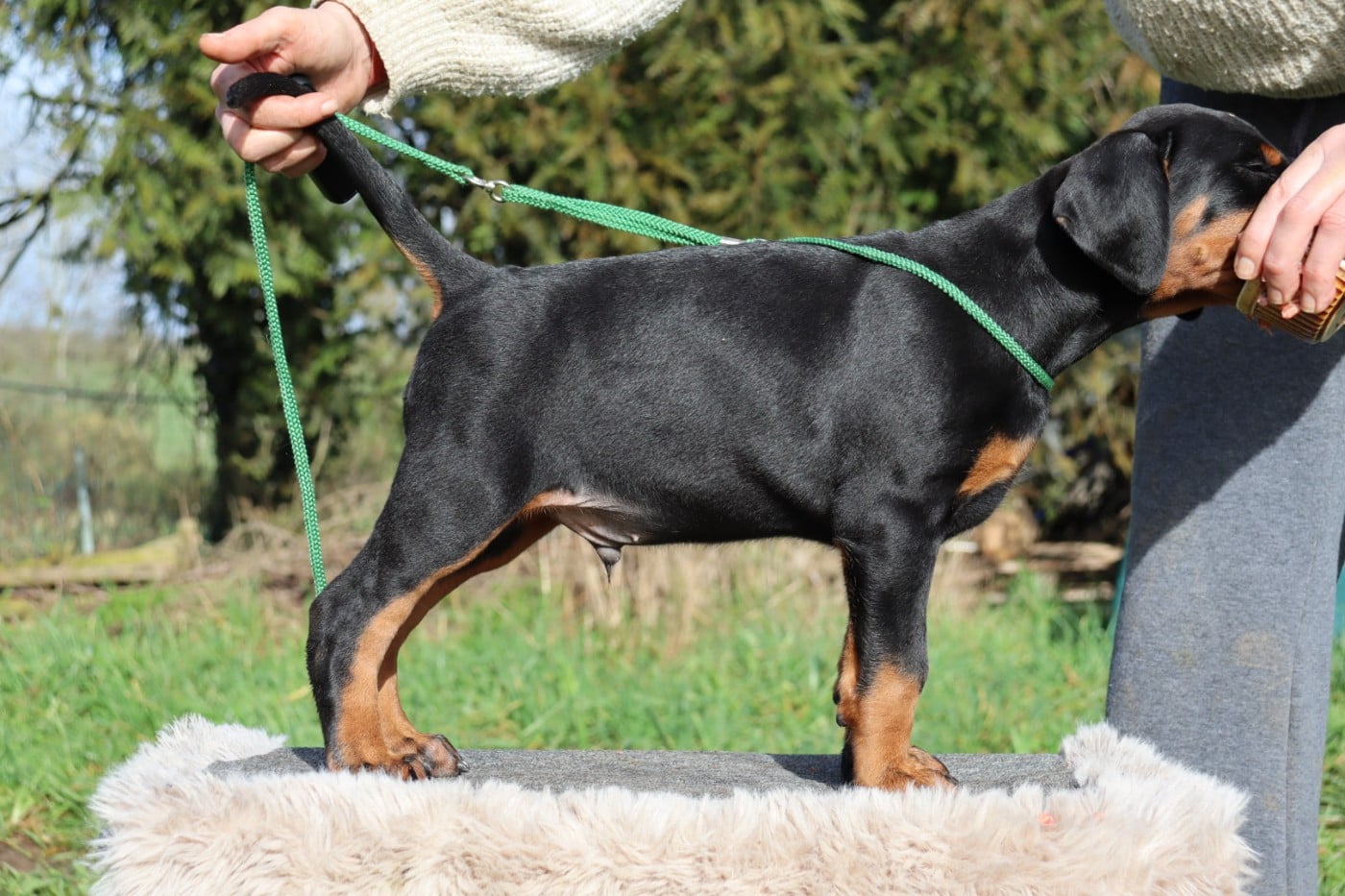 Azaghal Iron Helm dit "Iron"