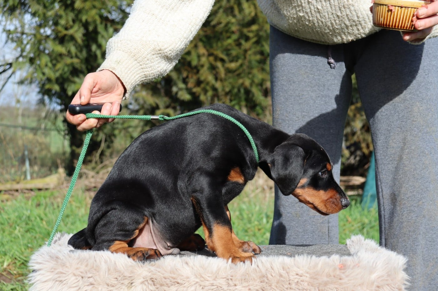 Azaghal Iron Helm dit "Iron"