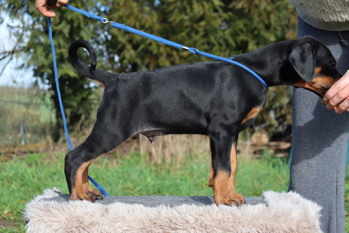 Augustus Alatar dit "August"