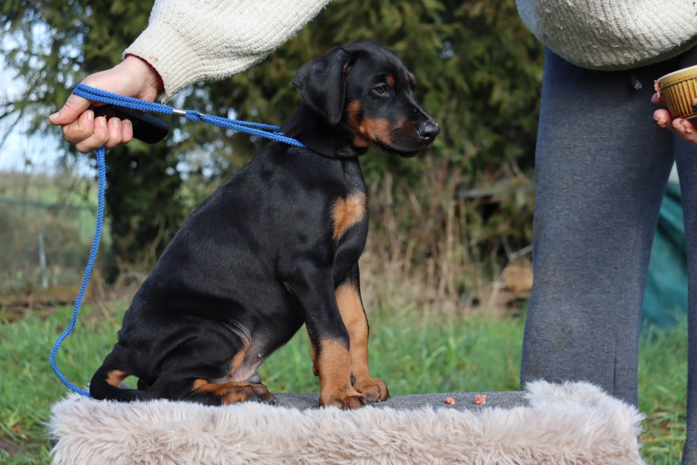 Augustus Alatar dit "August"