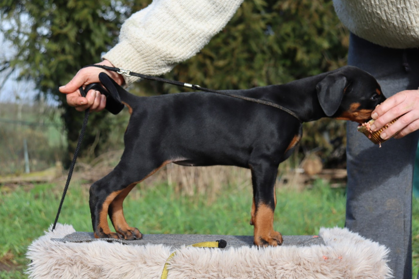 Arya Undómiel dite "Arya"