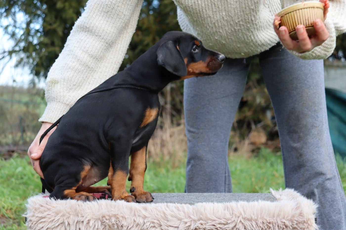 Artanis Nerwen Astrid dite "Astrid"