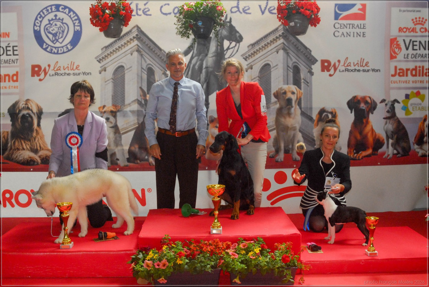 Amaterasu O Mi Kami Du temple de kali - 1ere Très Prometteur - Meilleur Baby - BEST IN SHOW Baby