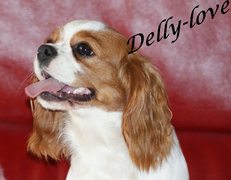 Publication : du Val D'Assango