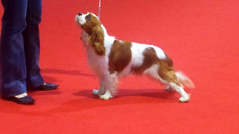 Endless love of Sevijean's - Très Prometteur