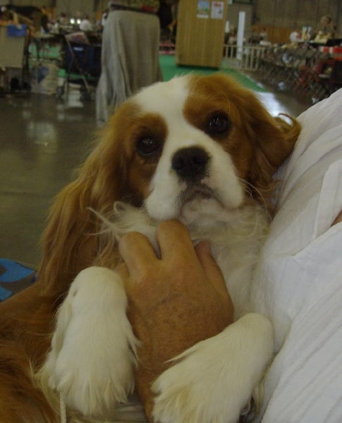 Endless love of Sevijean's - Très prometteur