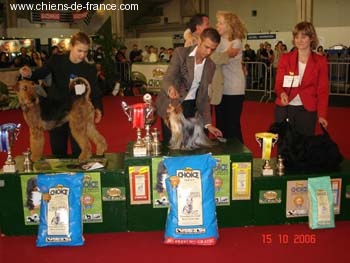 CH. Sinequanone Uguette - CAC-CACIB-BOB-BOG-3 Klubsieger