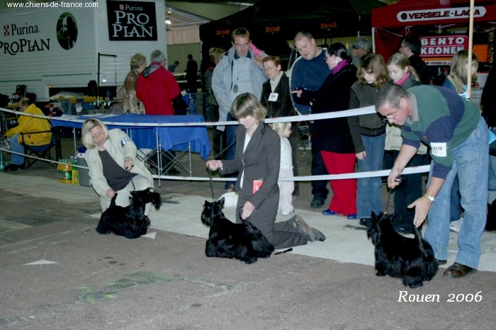 CH. Sinequanone Uguette - CACS-CACIB-BOS
