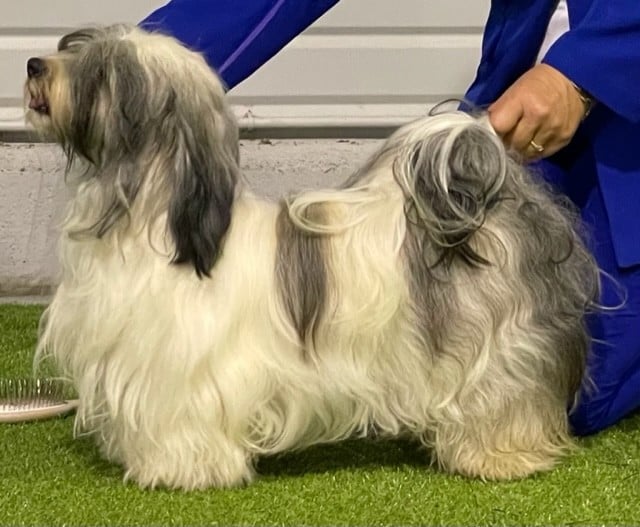 Publication : Del rey rakashi Auteur : JP