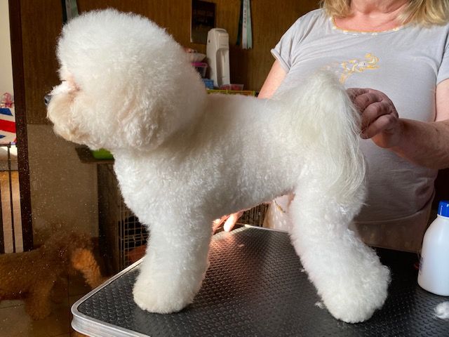 Publication : Del rey rakashi Auteur : CG