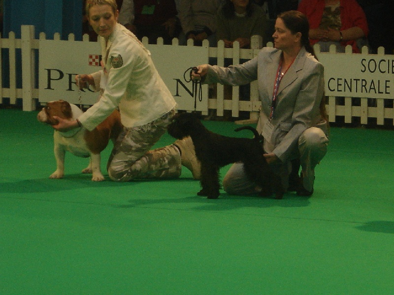 Publication : Des matins de cristal Auteur : des matins de cristal