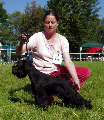 Publication : Des matins de cristal Auteur : des matins de cristal