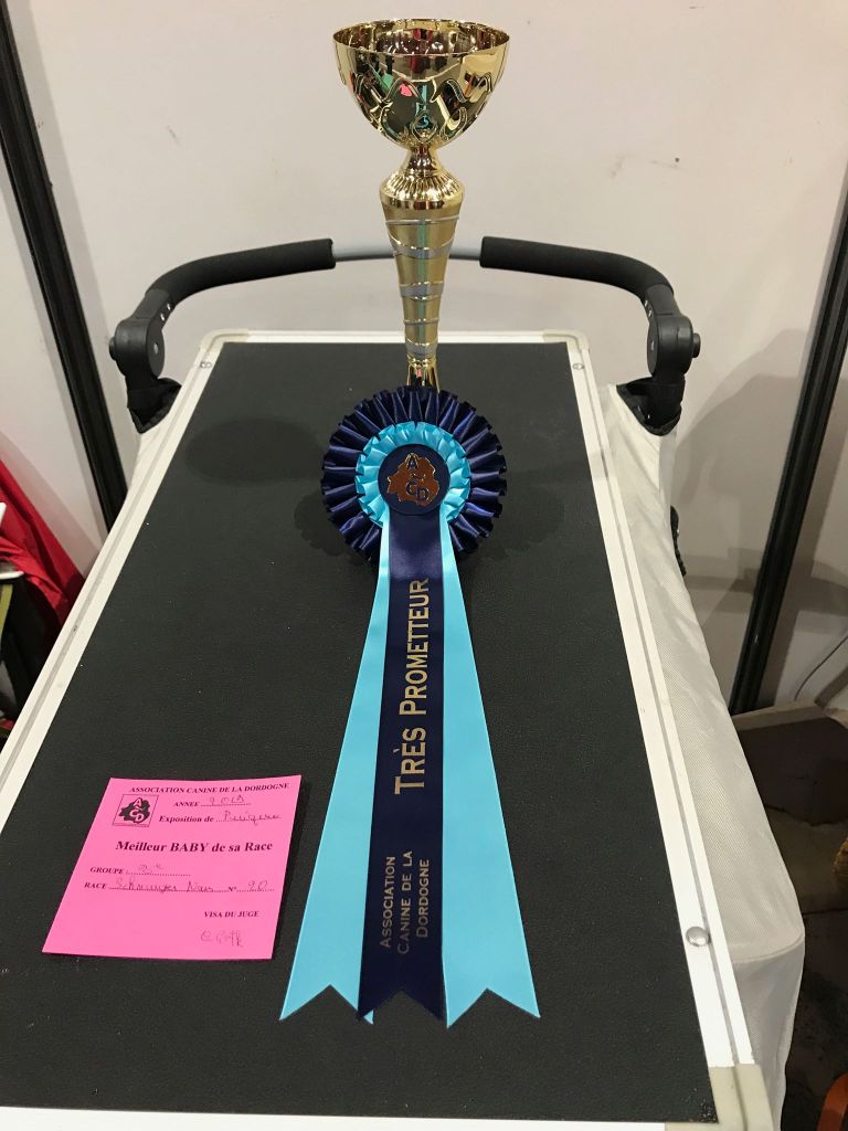 CH. panomaks Mill rif - Très Prometteur et Best In Show 2 classe Bébé