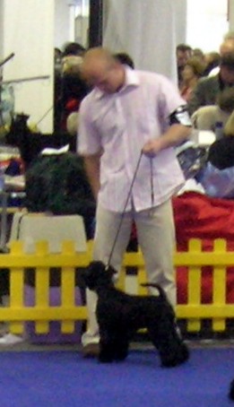 CH. Tracy chapman hajko-nerita - Excellent Classe Ouverte