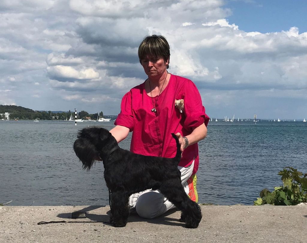 CH. panomaks Mill rif - 1er Exc CAC BOS