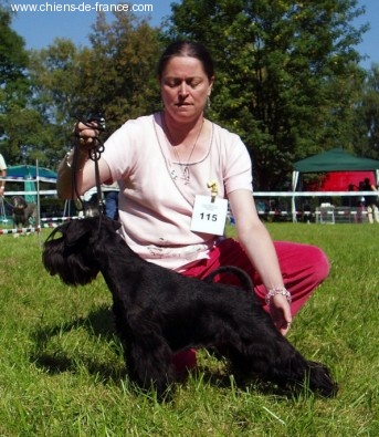 CH. Tracy chapman hajko-nerita - 2ème Excellent, Classe Jeune