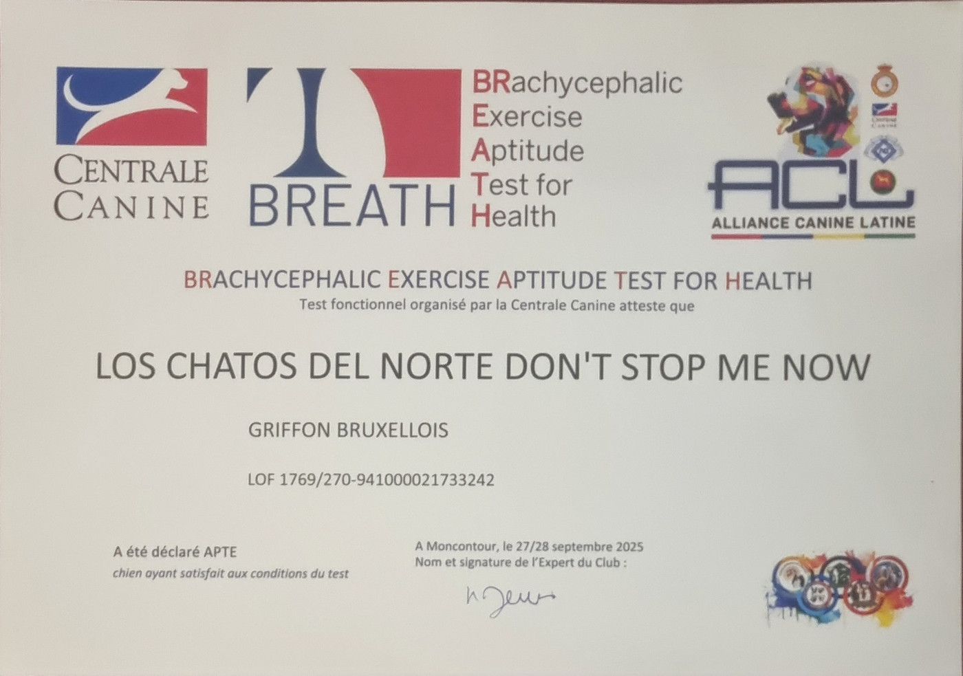 CH. los chatos del norte Don't stop me now dit MARCEL