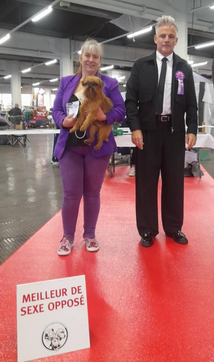 CH. los chatos del norte Don't stop me now dit MARCEL