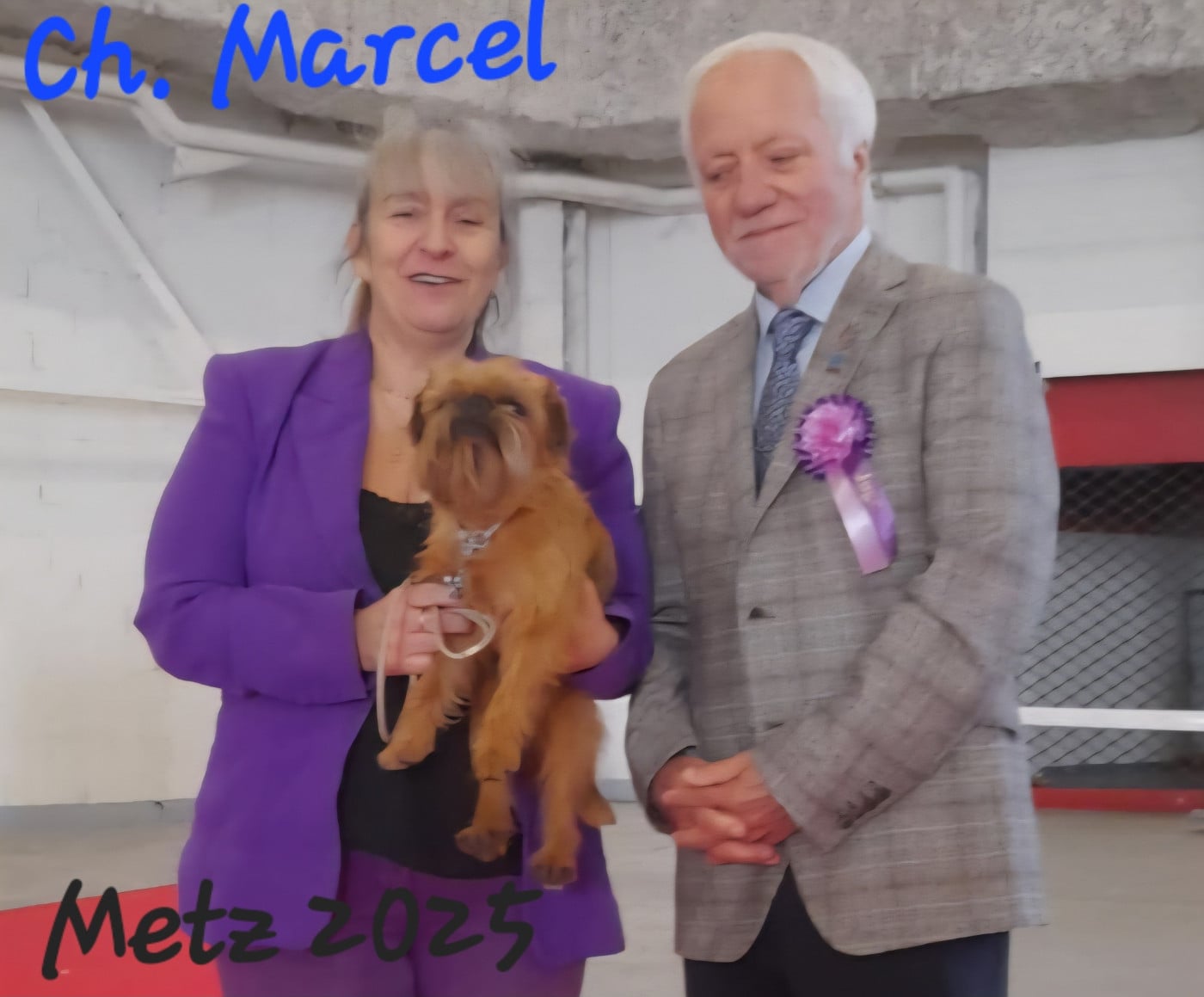 CH. los chatos del norte Don't stop me now dit MARCEL