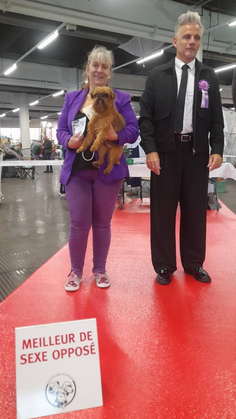 CH. los chatos del norte Don't stop me now dit MARCEL