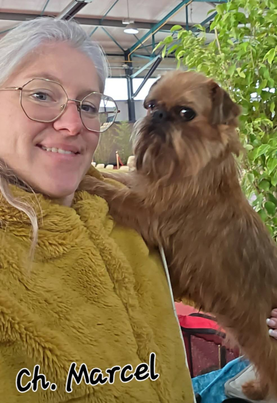 CH. los chatos del norte Don't stop me now dit MARCEL