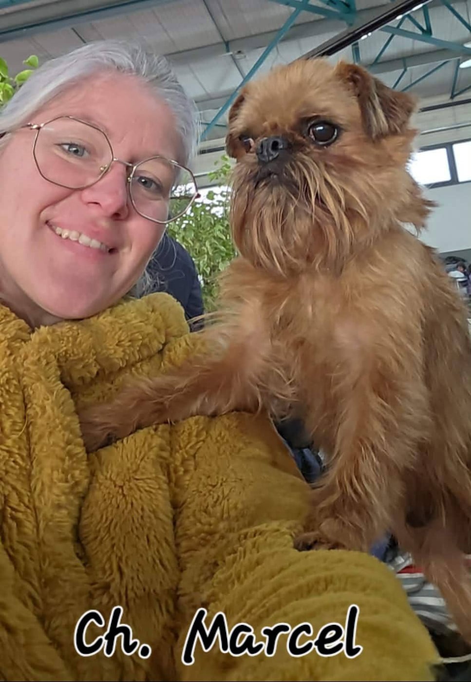 CH. los chatos del norte Don't stop me now dit MARCEL