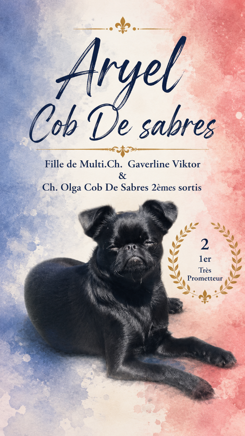 Publication : de Sabres Auteur : De Sabres Mme Marchwacki brigitt