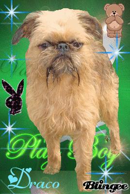 Publication : de Sabres Auteur : De Sabres...