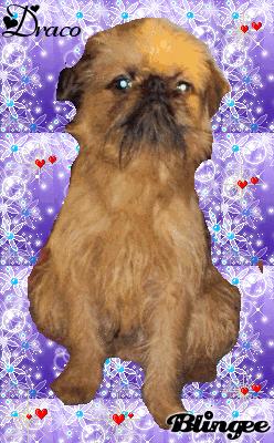 Publication : de Sabres Auteur : De Sabres...