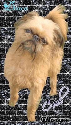 Publication : de Sabres Auteur : De Sabres...