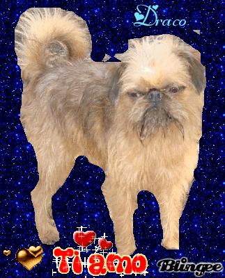 Publication : de Sabres Auteur : De Sabres...