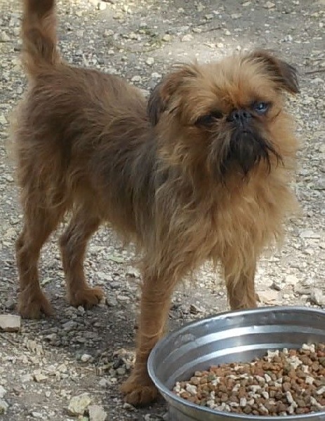 Publication : de Sabres Auteur : De Sabres...