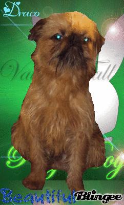 Publication : de Sabres Auteur : De Sabres...