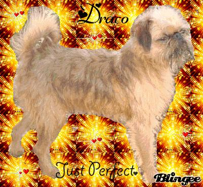 Publication : de Sabres Auteur : De Sabres...