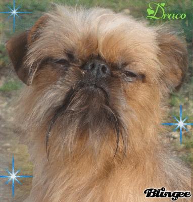 Publication : de Sabres Auteur : De Sabres...