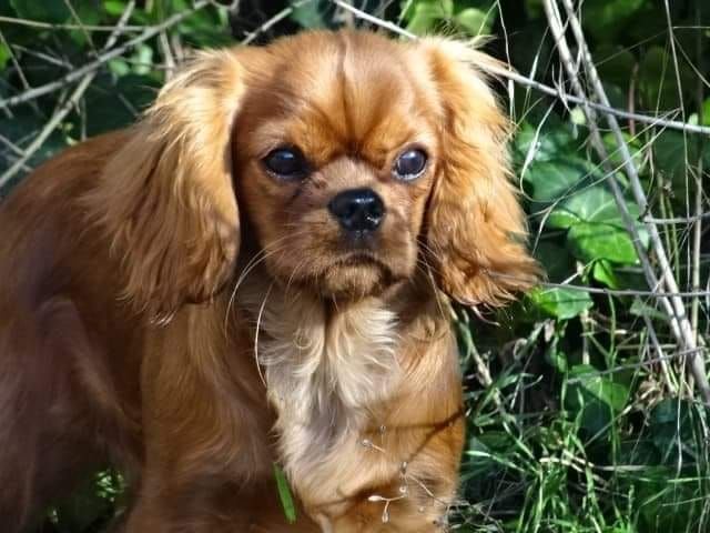 Publication : de Pink'Paradise