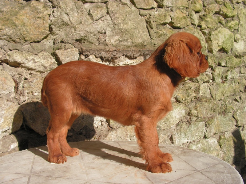 Publication : de Pink'Paradise