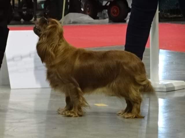 Publication : de Pink'Paradise