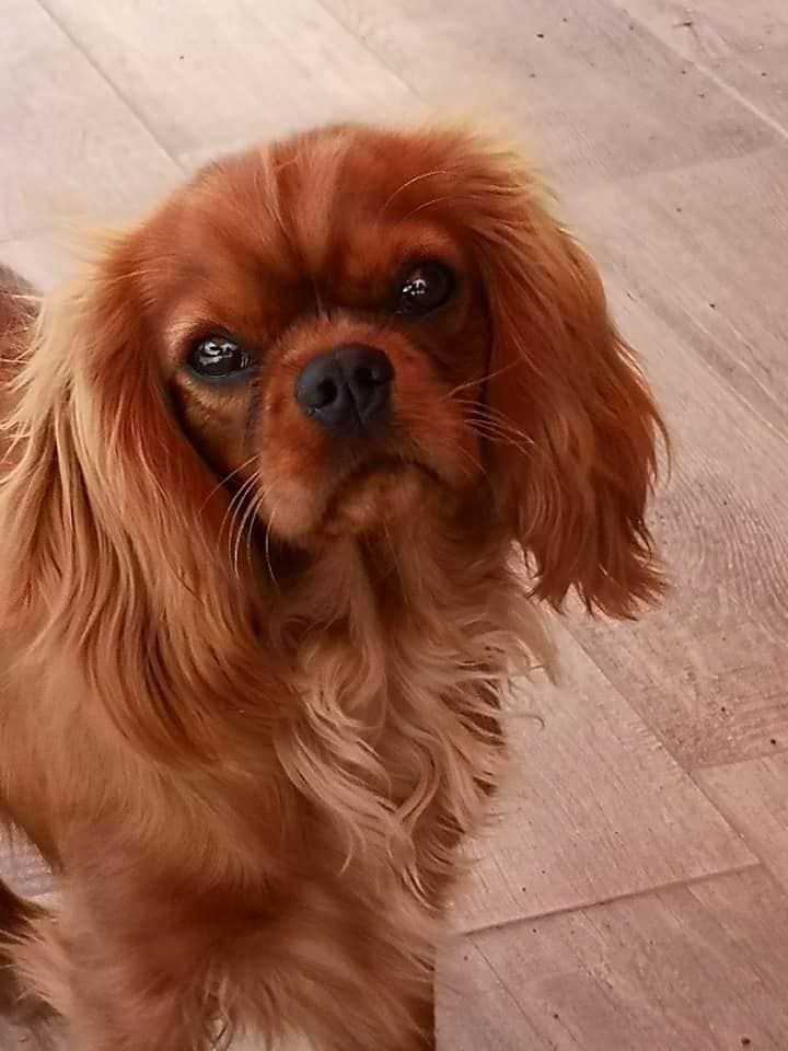 Publication : de Pink'Paradise