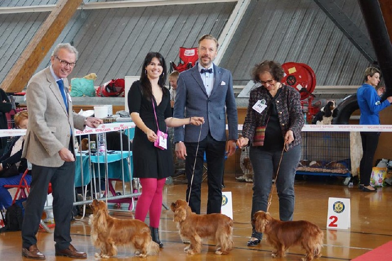 CH. Divine idylle de Pink'Paradise - 2ème EXC