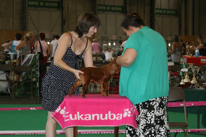 First lady de Pink'Paradise - TRES PROMETTEUR