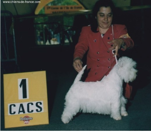 Publication : De catextol