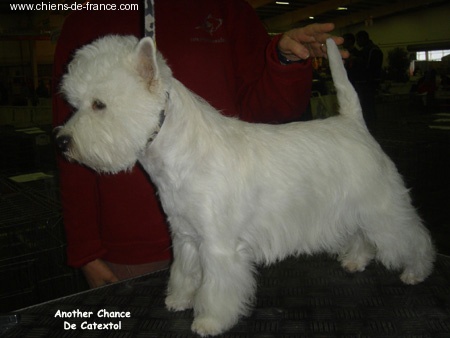 Publication : De catextol Auteur : De Catextol