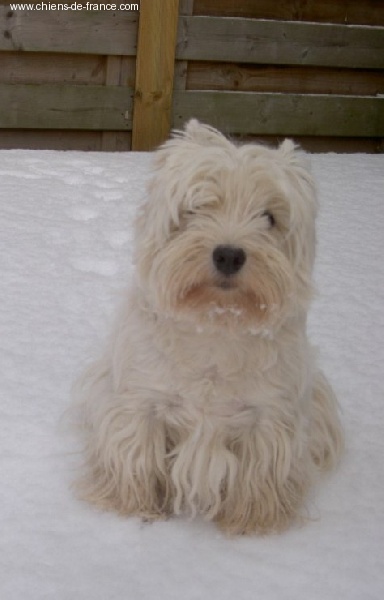 Publication : De catextol