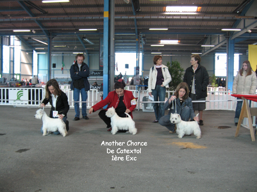 Publication : De catextol Auteur : De Catextol