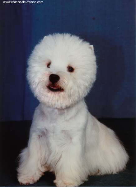 Publication : De catextol